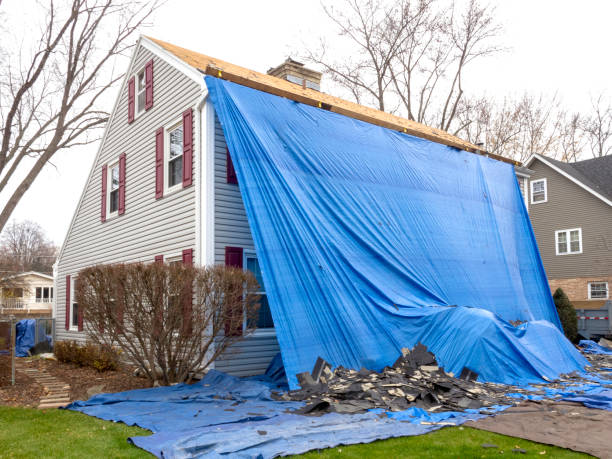 Affordable siding repair and maintenance services in Avalon, PA